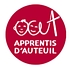 Fondation Apprentis d'Auteuil International logo