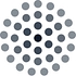 Internet Society Foundation logo